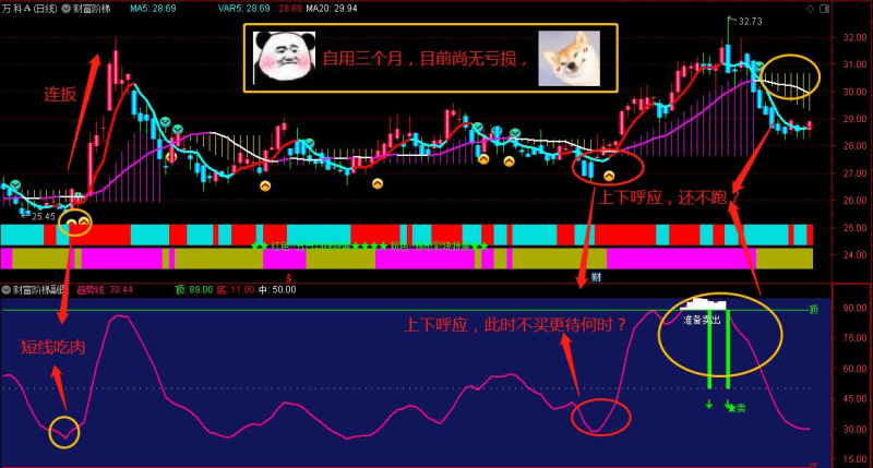 通达信【财富阶梯】主副图该指标已使用了很-股票指标公式网